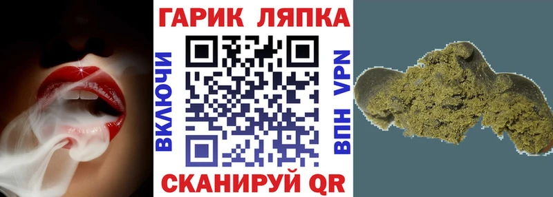 ГАШ убойный  Сураж 