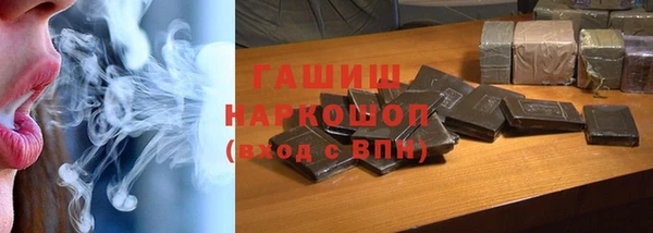 индика Осташков