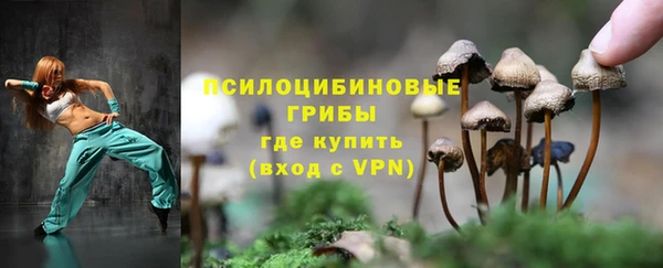 индика Лихославль