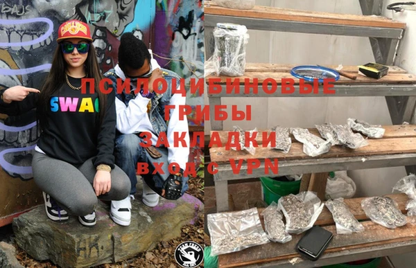 индика Лихославль