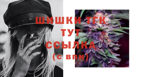 винт Слюдянка
