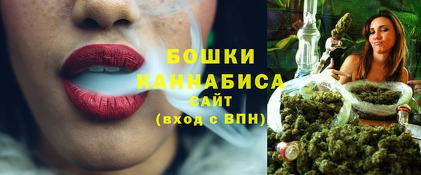 индика Лихославль