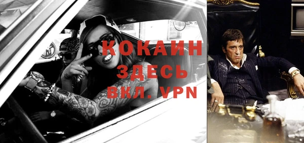 Альфа ПВП Лагань