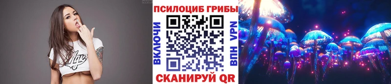 Галлюциногенные грибы Magic Shrooms  где найти наркотики  Сураж 