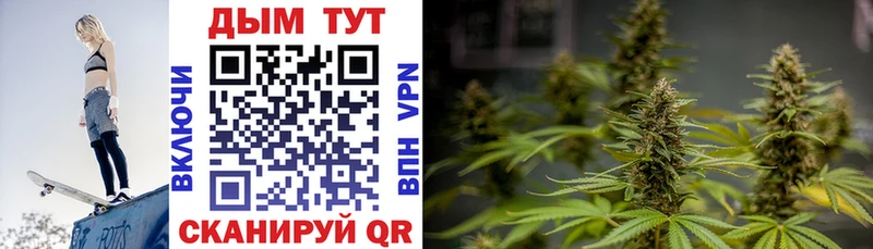 Шишки марихуана SATIVA & INDICA  ссылка на мегу вход  Сураж 